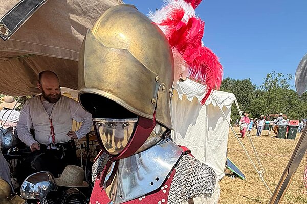 Knight's armour